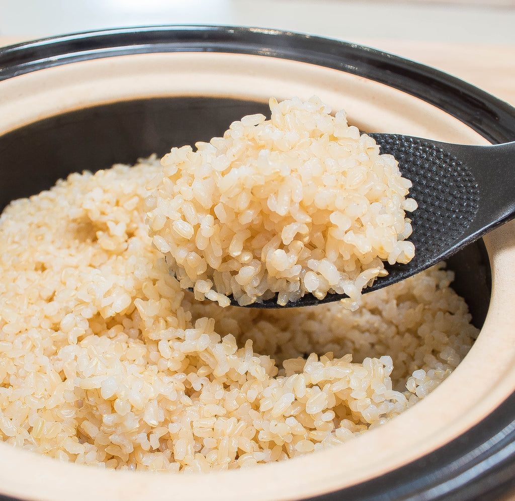 Rice Measuring Cup – TOIRO