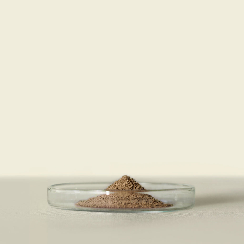 Houjicha Powder – TOIRO