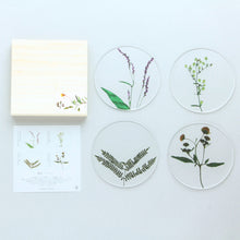 Oshibana Coaster 4-set