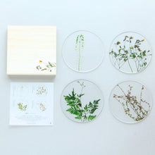 Oshibana Coaster 4-set