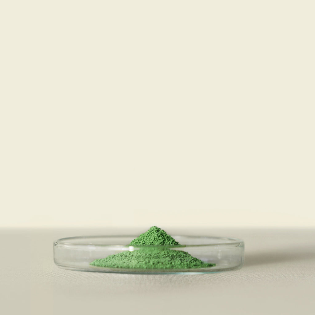 Matsu Matcha – TOIRO