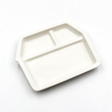 Okosama Lunch Partitioned House Plate