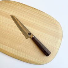 TOIRO x Taski Premium Japanese Knife Series