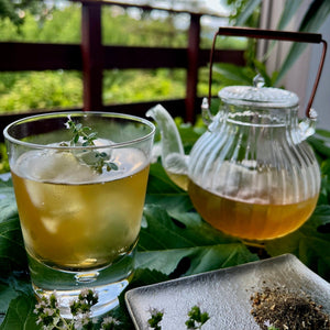 WARM, Caffeine-Free Mugwort Ginger Tea (Tea Bags)