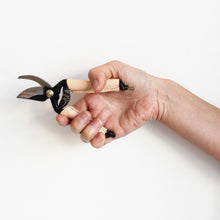 Mini Pruning Shears with Leather Handles