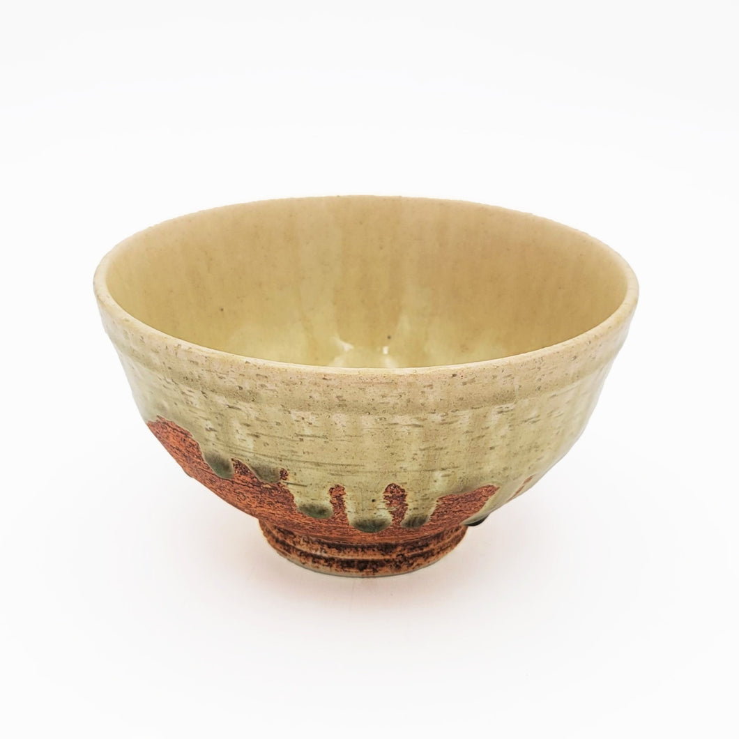 Hai-Yu Nagomi Donburi Bowl