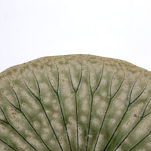 Hechimon Lotus Leaf Large Plate
